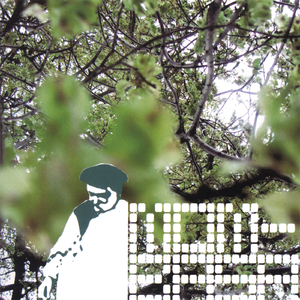 The Art of Natural Building