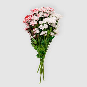 Сомнений нет