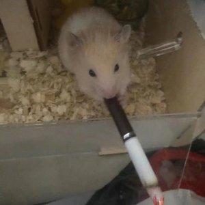 爱可以胜过万难？（Prod.by jeston）