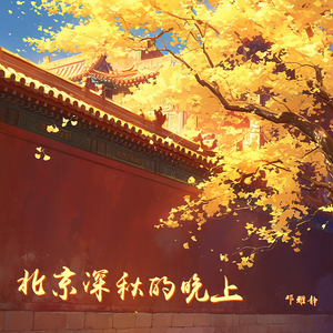 北京深秋的晚上 (夜晚版)