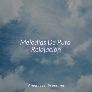 Iluminaciones Vívidas