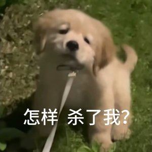 SWEET SONG『甜系小狗ver』