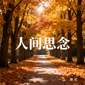 人间思念（纯音乐）
