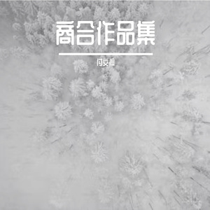 凤凰于飞 (2023美团36迹)