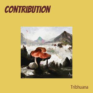 Contribution
