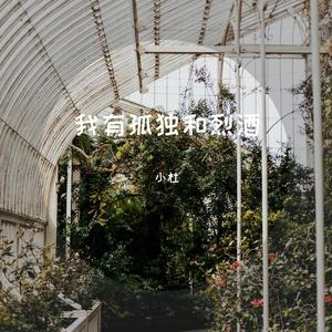 十年戎马心孤单