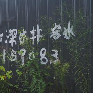 遇见（翻自 孙燕姿）