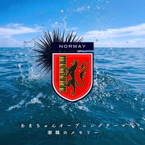 潮騒のメモリー