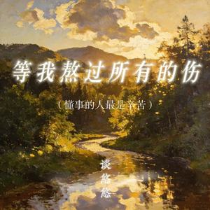 等我熬过所有的伤(懂事的人最是辛苦)