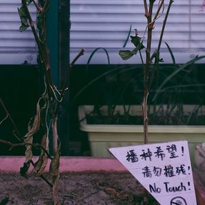 当我意识到生活是虚无的（remix）