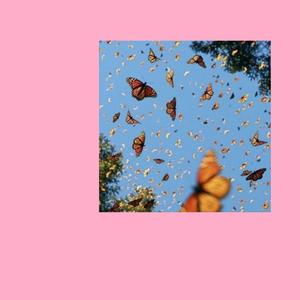 Something on My Mind