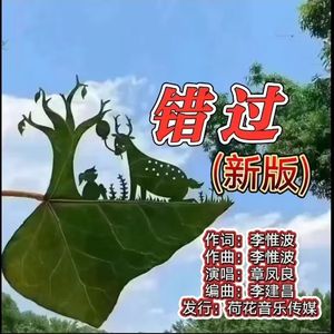 错过（新版）
