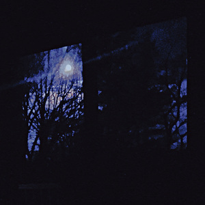 In The Still Of The Night