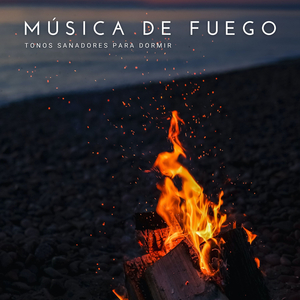 Sombras En Las Llamas