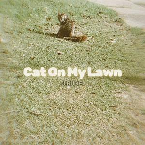 Cat On My Lawn