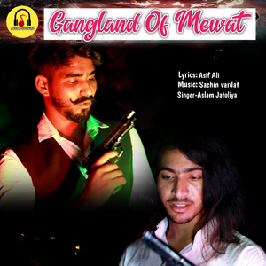 Gangland Of Mewat