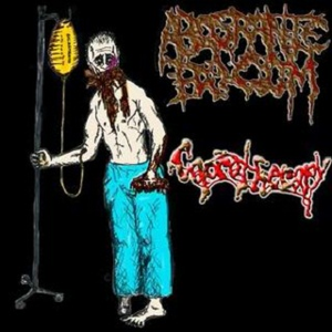 Lips - The Passage To Pleasure (Gut Cover)