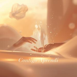 Contigo Aprendí