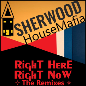 Right Here, Right Now (Cris Marc Remix)