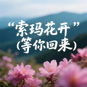 索玛花开 (Cover 心见)