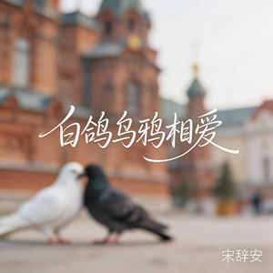 白鸽乌鸦相爱的戏码（抖音热播版）