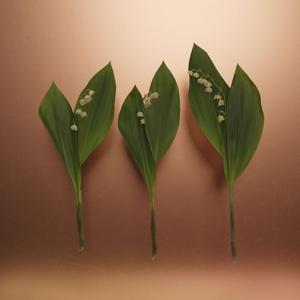 Cramé (feat. Kedked & Valzouz)