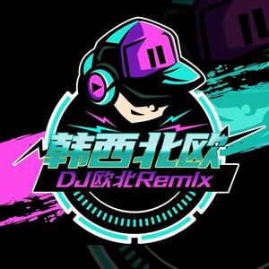 王妃 (Dj韩西北欧 3D环绕 )