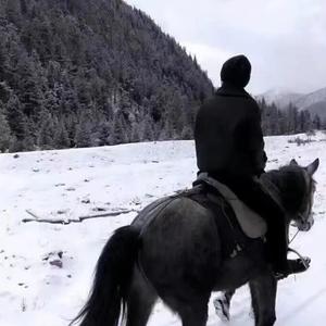 韩红-孙楠 - 美丽的神话（DJ阿轩 remix）