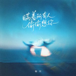 瞒着所有人偷偷想你