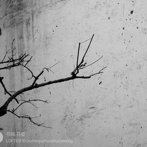 山河知交（翻自 流浪的蛙蛙）