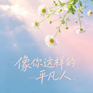像你这样的平凡人(你风风雨雨这半生)