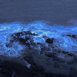 憧憬未来的自己