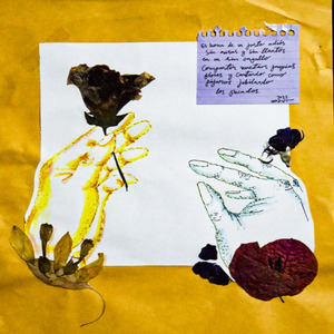 Oda a la In Con Ciencia del Desamor