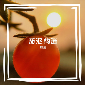 茄沤构迷