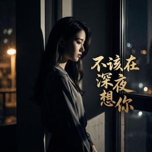 不该在深夜想你