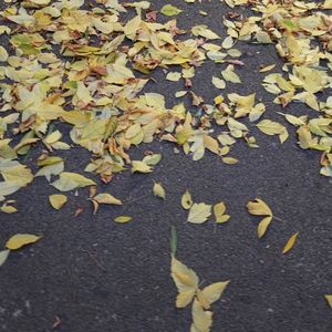 心灵口袋