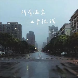 所有温柔止于视线2.0
