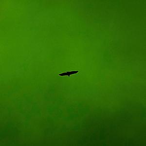 Décimo Terceiro Arcano