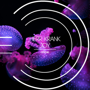 Joy (Hi 2 Hat Remix)