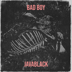 Bad Boy