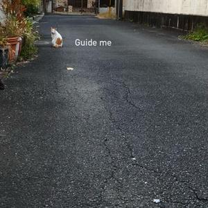 Guide me