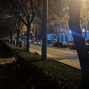 海滩上的海风与眷恋