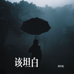 该坦白