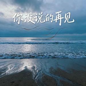 你没说的再见