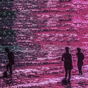 Into the Purple