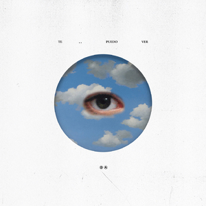 Te Puedo Ver