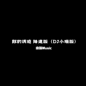 郎的诱惑 降速版（DJ小瑞版）