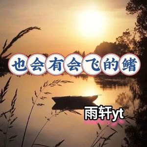 也会有会飞的鳍