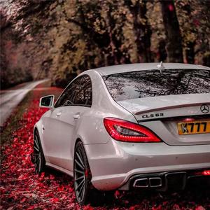 我在夜里数着心碎