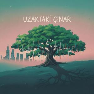 Uzaktaki Çınar